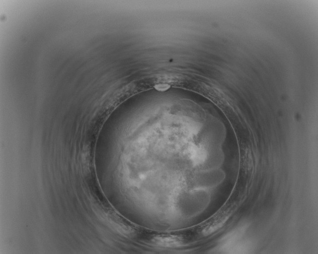 X0000063470557200601271632