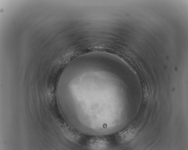 X0000063470559200601271632