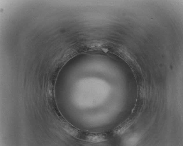 X0000063470561200601271632