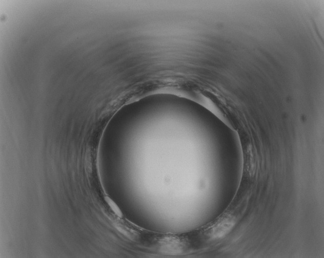 X0000063470562200601271632