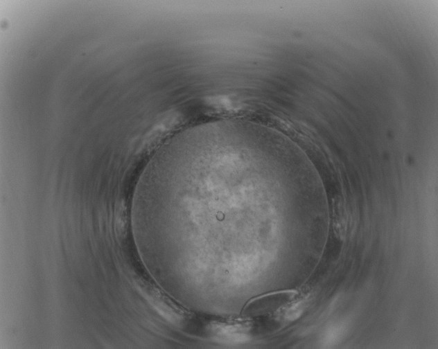 X0000063470563200601271632