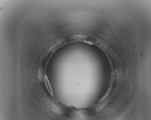 X0000063470564200601271632