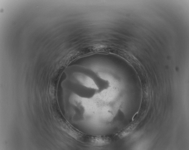 X0000063470565200601271632