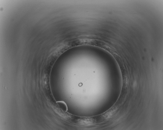 X0000063470567200601271632