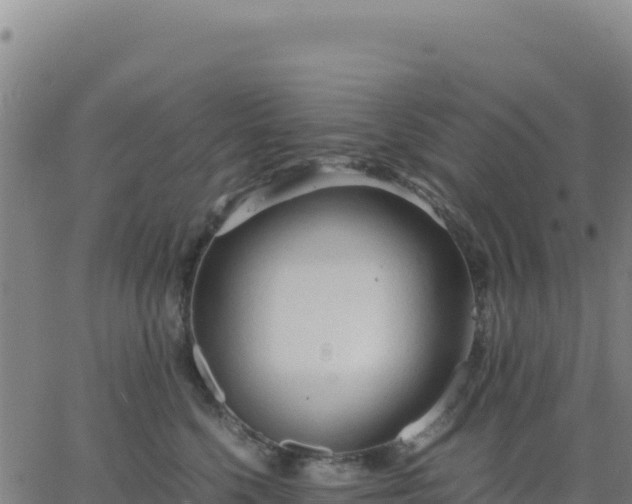 X0000063470568200601271632