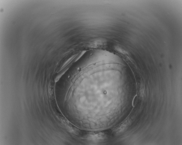 X0000063470569200601271632