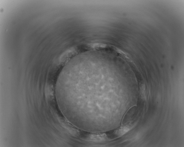 X0000063470571200601271632