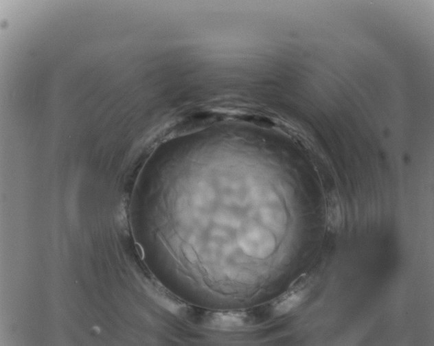 X0000063470573200601271632