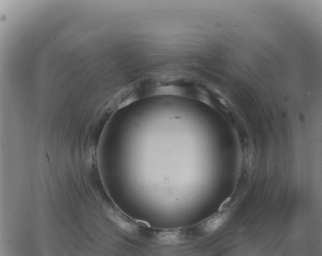 X0000063470574200601271632