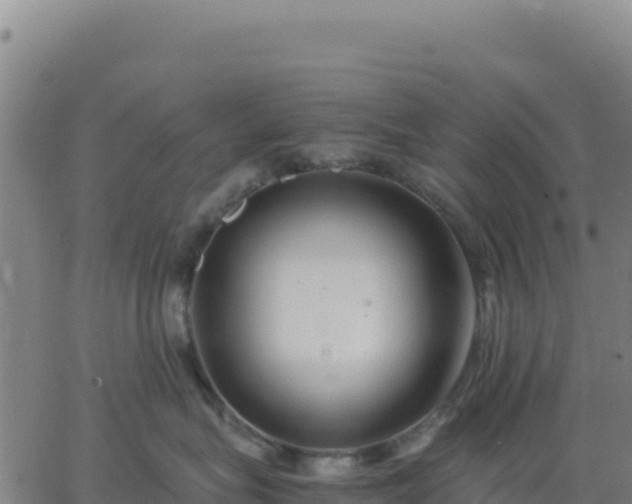 X0000063470575200601271632