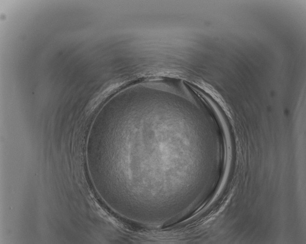 X0000063470577200601271632