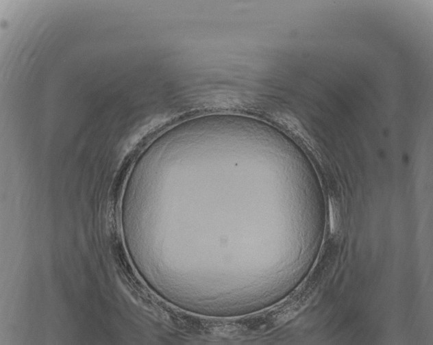 X0000063470579200601271632