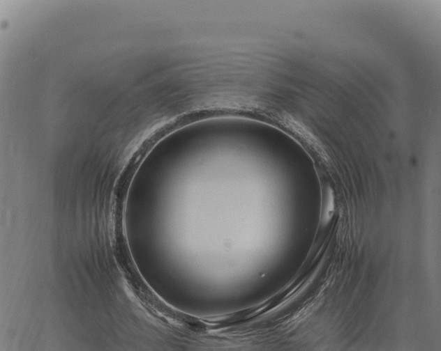 X0000063470580200601271632