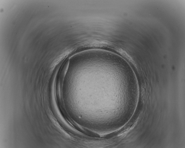 X0000063470581200601271632