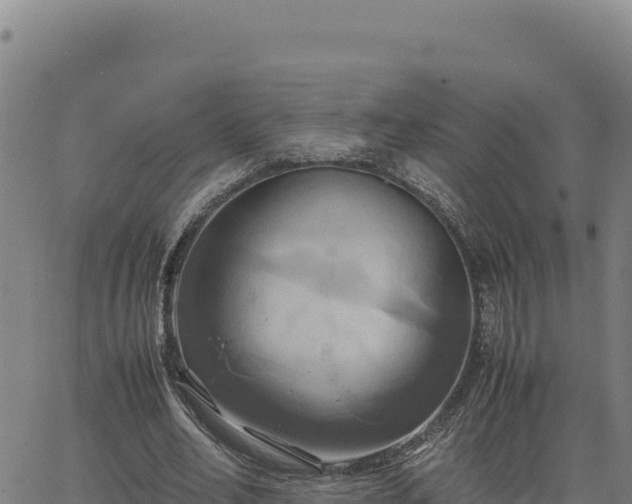 X0000063470582200601271632