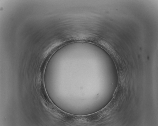 X0000063470583200601271632