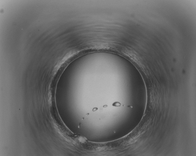 X0000063470584200601271632