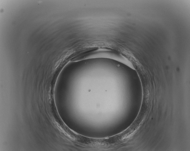 X0000063470585200601271632