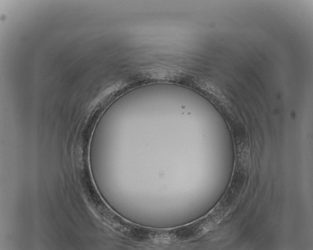 X0000063470587200601271632