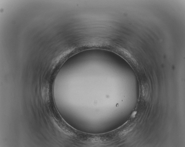 X0000063470588200601271632