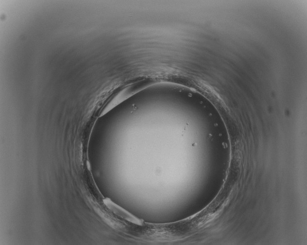 X0000063470589200601271632