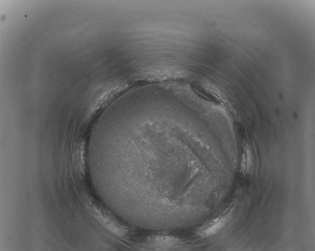 X0000063470590200601271631