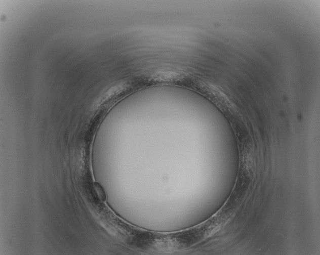 X0000063470591200601271631