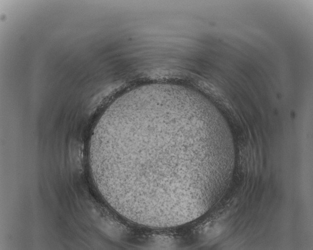 X0000063470592200601271631