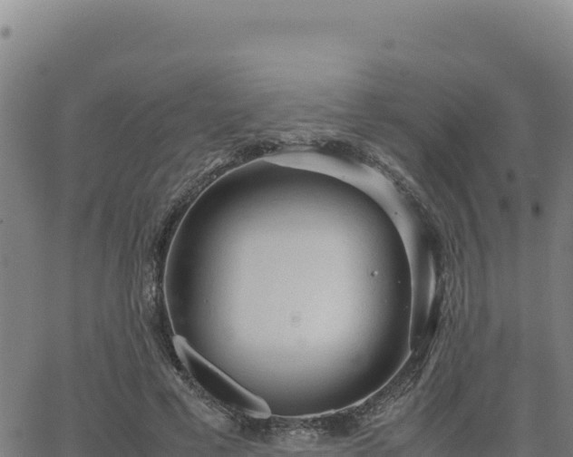 X0000063470593200601271631