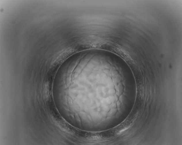 X0000063470594200601271631