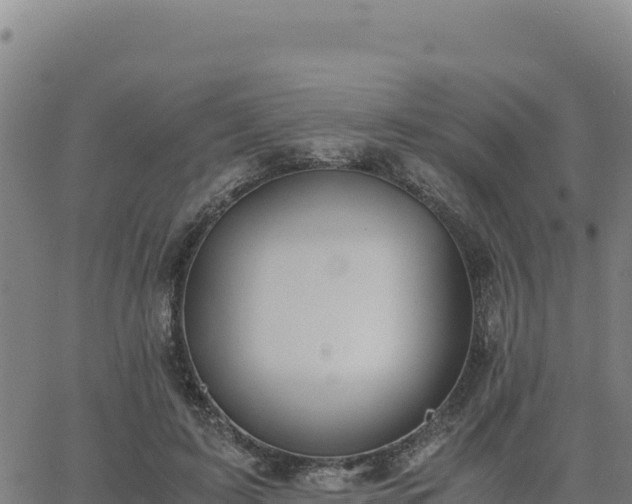 X0000063470595200601271631