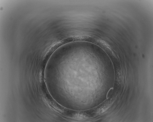 X0000063470596200601271631