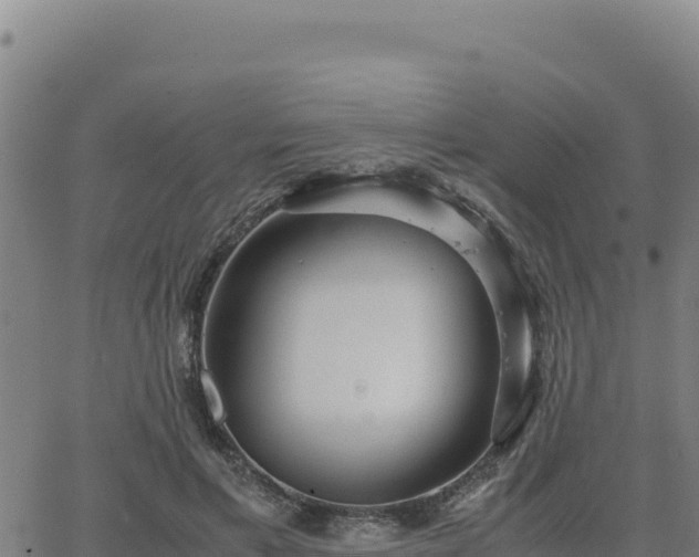 X0000063470597200601271631