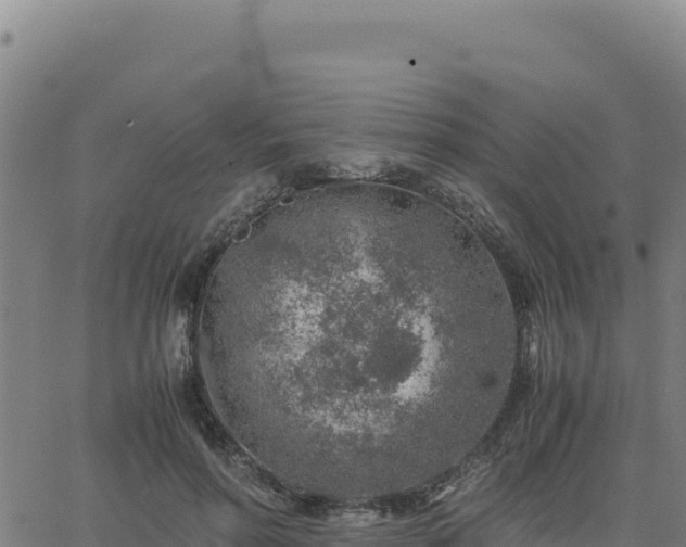 X0000063470598200601271631