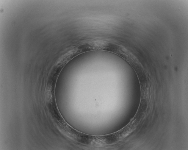 X0000063470599200601271631