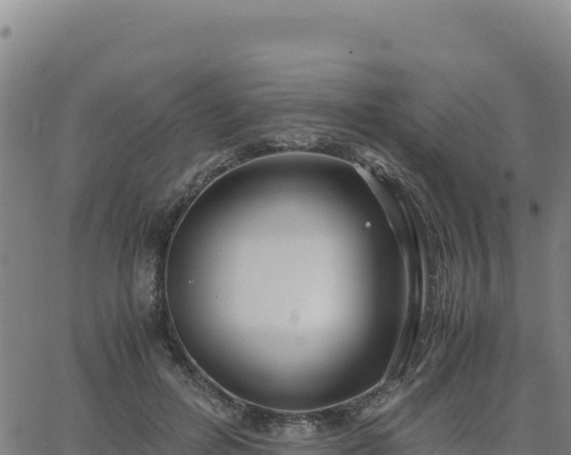 X0000063470600200601271631