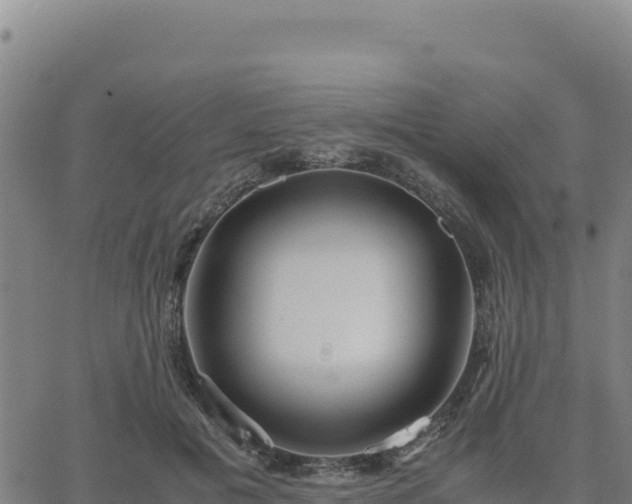 X0000063470601200601271631