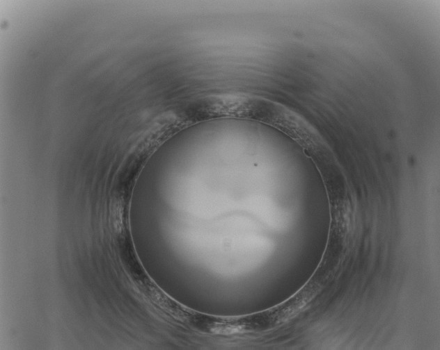 X0000063470602200601271631