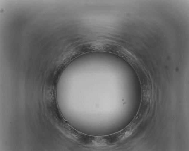 X0000063470603200601271631