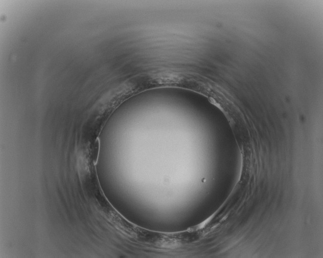 X0000063470604200601271631