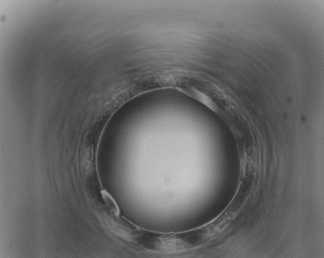 X0000063470605200601271631