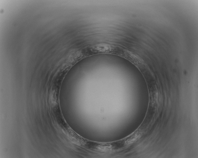 X0000063470606200601271631