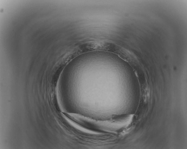 X0000063470607200601271631