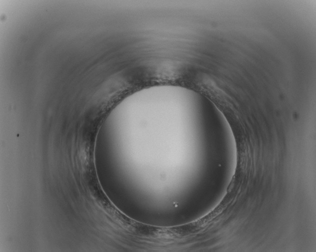 X0000063470608200601271631