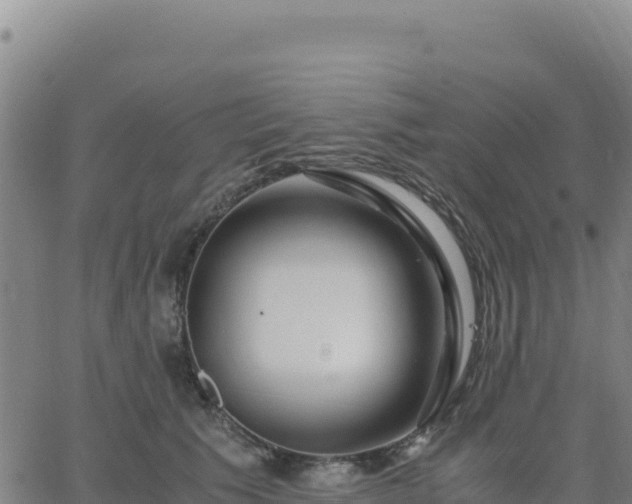 X0000063470609200601271631