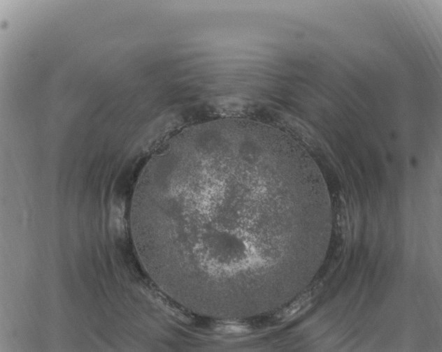 X0000063470610200601271631