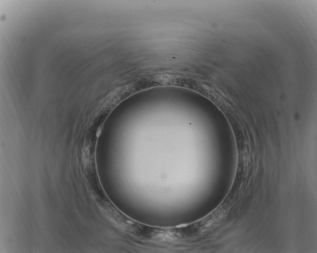 X0000063470611200601271631