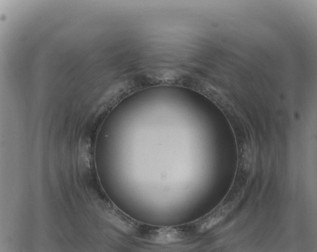 X0000063470612200601271631