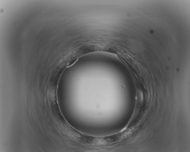 X0000063470613200601271631