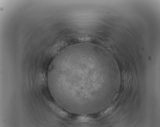 X0000063470614200601271631